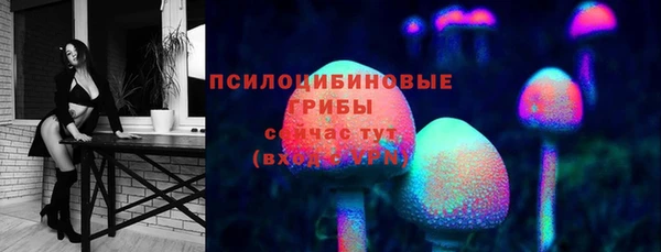 стаф Касимов