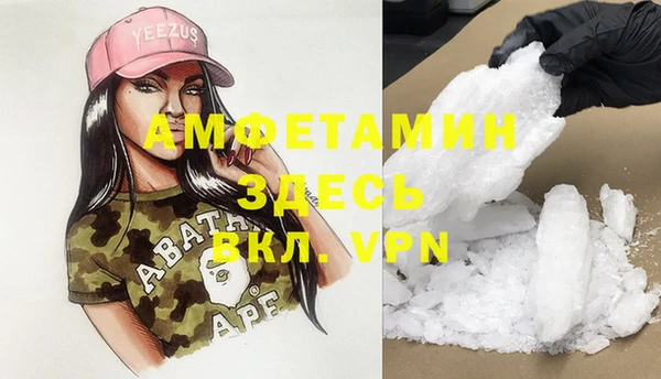 стаф Касимов